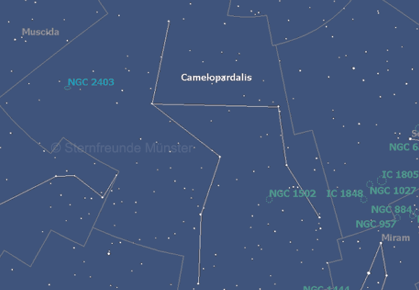 Grafik: Sternbild Giraffe